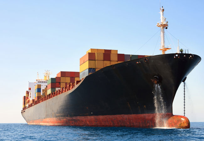 ��֪����ɭ�촬����������ʲô������